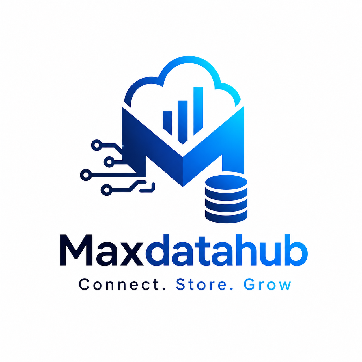 MAX DATA HUB Logo